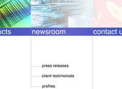 intranet design