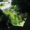 site-access-path