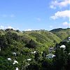 Aro Valley, Wellington New Zealand