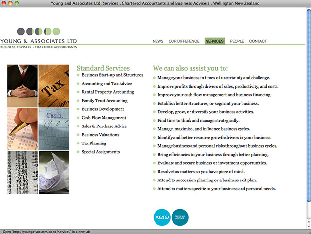 Michael Young Associates services page