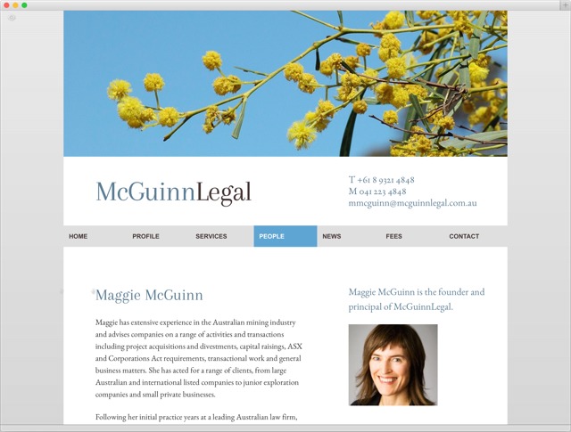 McGuinnLegal detail page